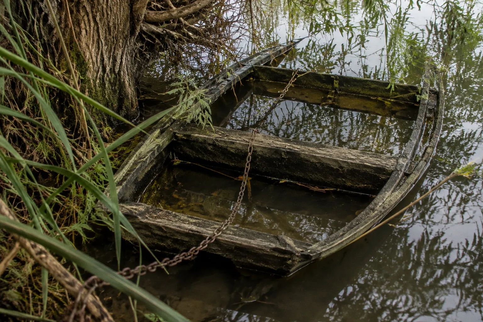 Boires de Loire : les secrets d'un écosystème oublié